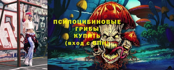 экстази Гусь-Хрустальный