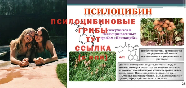 экстази Гусь-Хрустальный