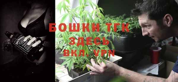 экстази Гусь-Хрустальный