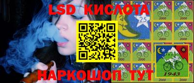 молекула духа Владимир
