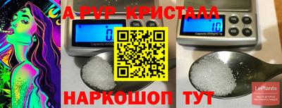 молекула духа Владимир