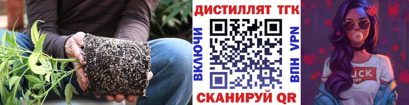 Дистиллят ТГК Wax  как найти   Рассказово 