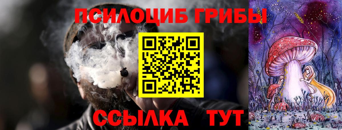 Рассказово  Галлюциногенные грибы Psilocybine cubensis  Вход с VPN 
